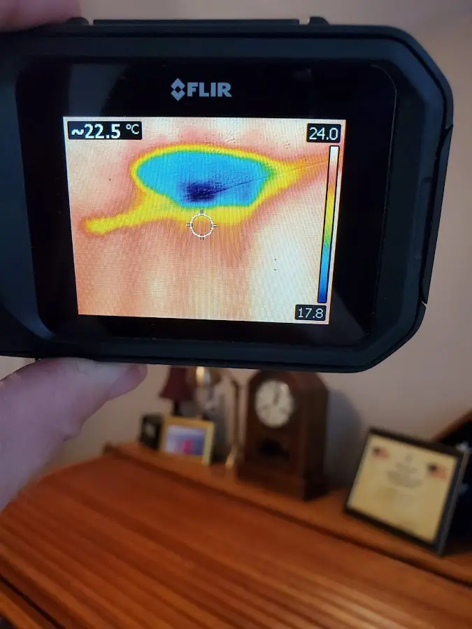 Thermal imaging inspection for water damage in Alton