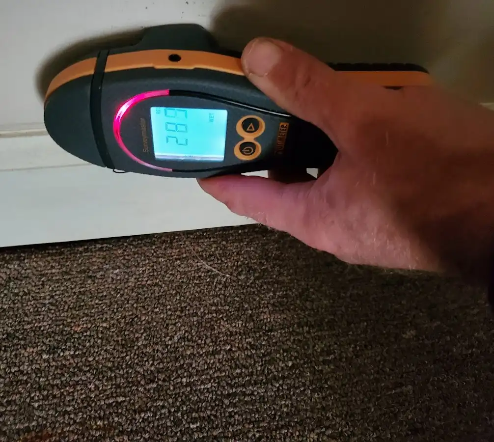 Moisture detection at baseboard during Sewage Cleanup & Sanitation in Alton